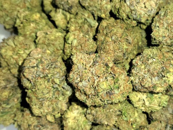 Island Chapo Pink (Value Gas)