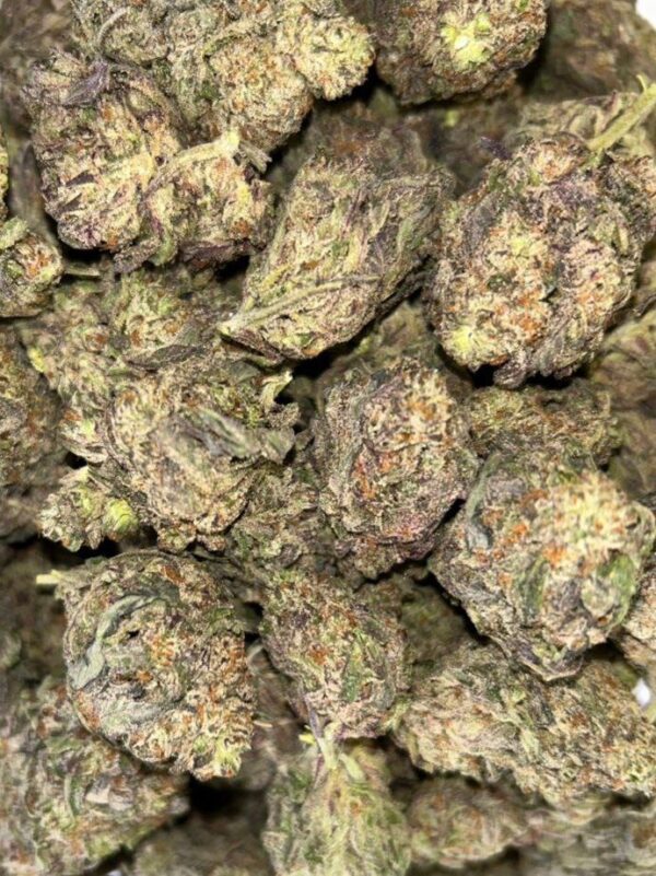 Purple Grimace (Mega Value Indica)